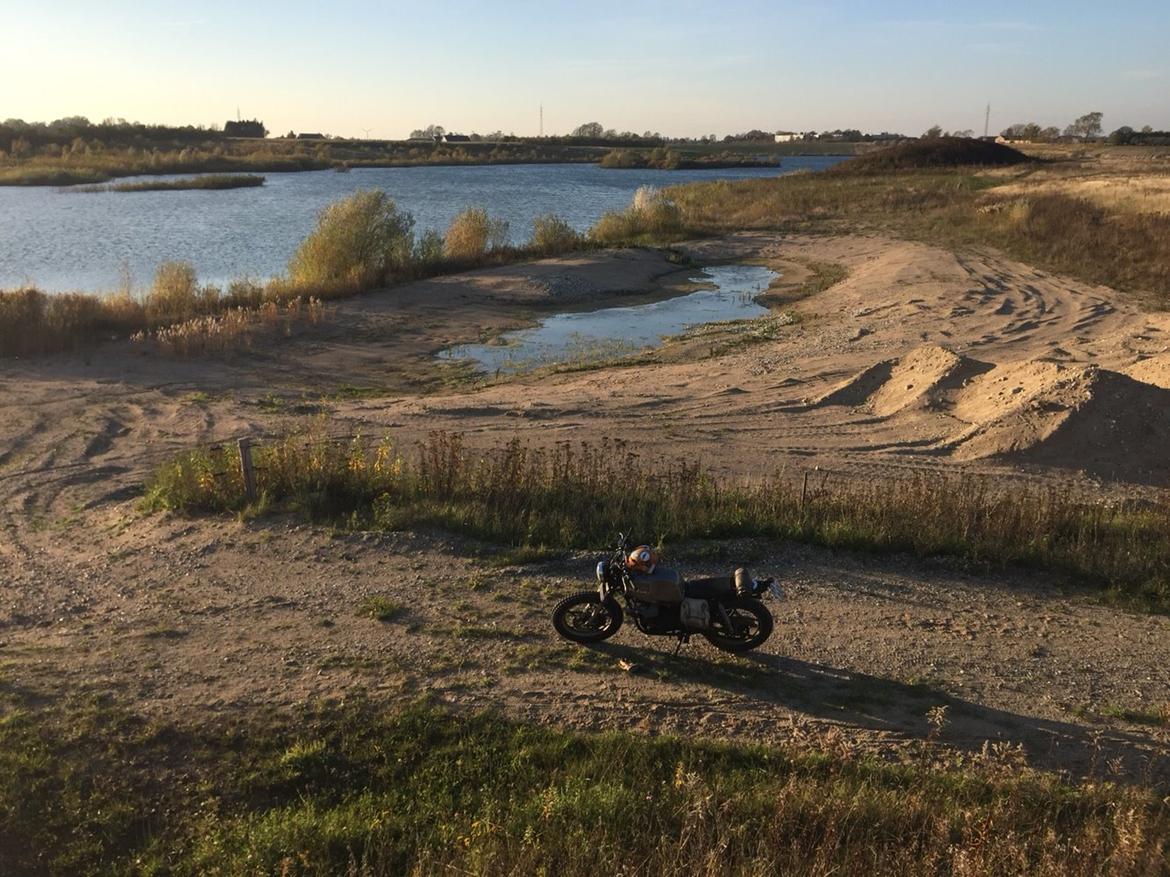 Suzuki GS 450 Scrambler billede 14