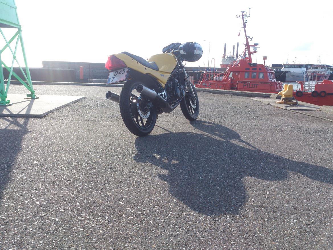 Yamaha RD 350 LC YPVS billede 13