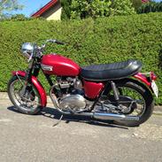 Triumph T120