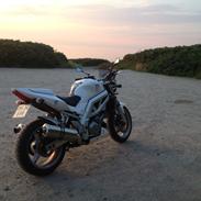 Suzuki SV 1000 N