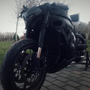 Suzuki Gsxr 1000 "Brutalis"