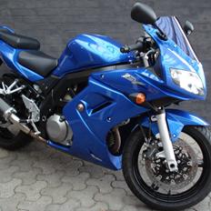 Suzuki SV1000S "BUMLE"