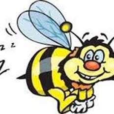 Suzuki SV1000S "BUMLE"