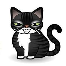 BMW R1200GS LC "FEDE BERTHA"