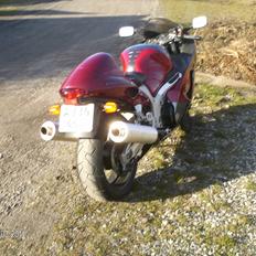 Suzuki BUSA