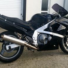 Kawasaki ZZR 600