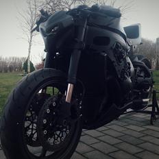 Suzuki Gsxr 1000 "Brutalis" 