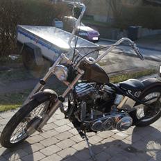 Harley Davidson Panhead