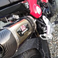 Honda MSX 125 "Grom"