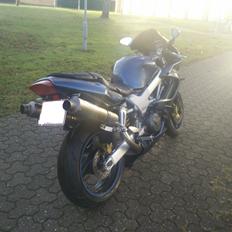 Honda VTR 1000 Firestorm