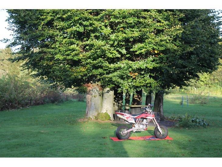 Honda CRF 150-r billede 4