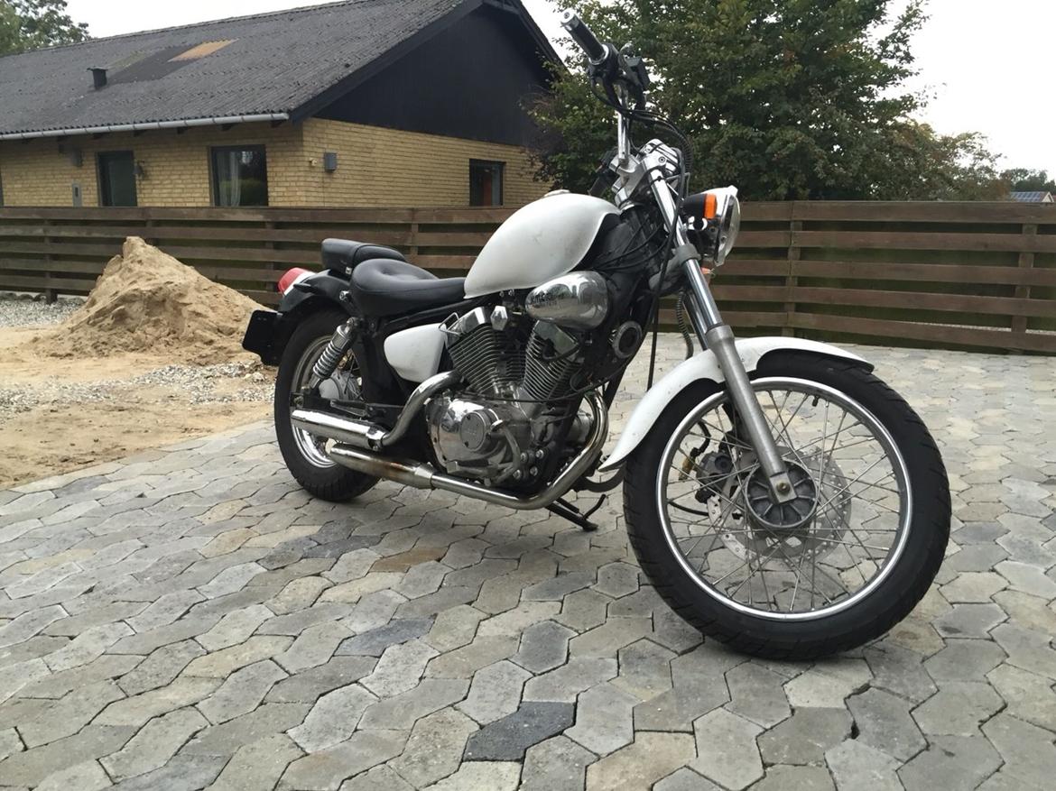 Ledow Borelli billede 2