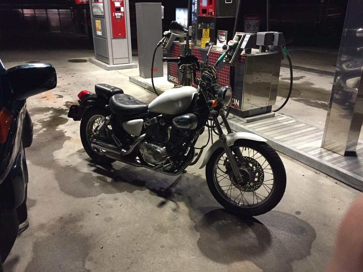 Ledow Borelli billede 3