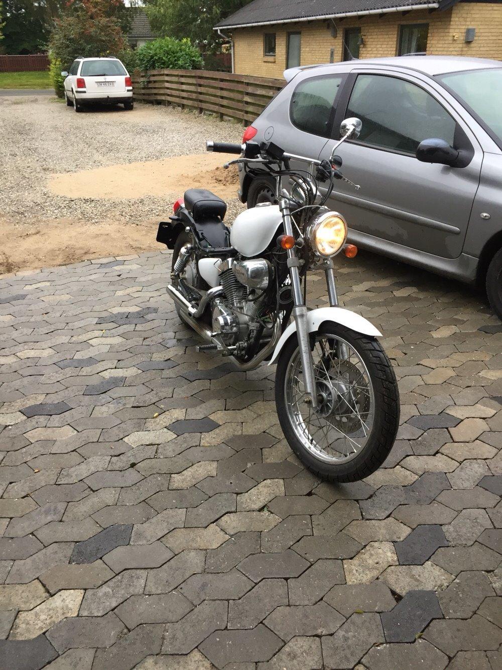 Ledow Borelli billede 4