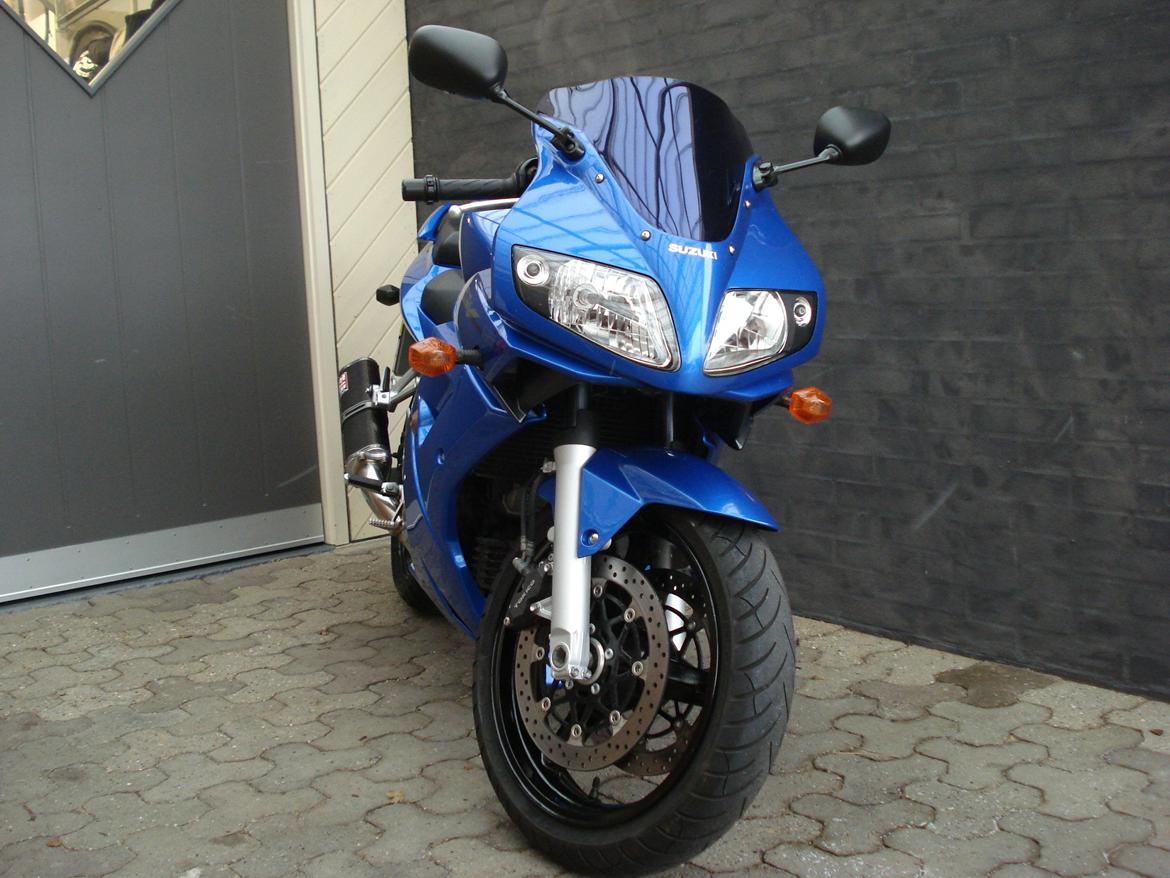 Suzuki SV1000S "BUMLE" - blue windshield billede 6