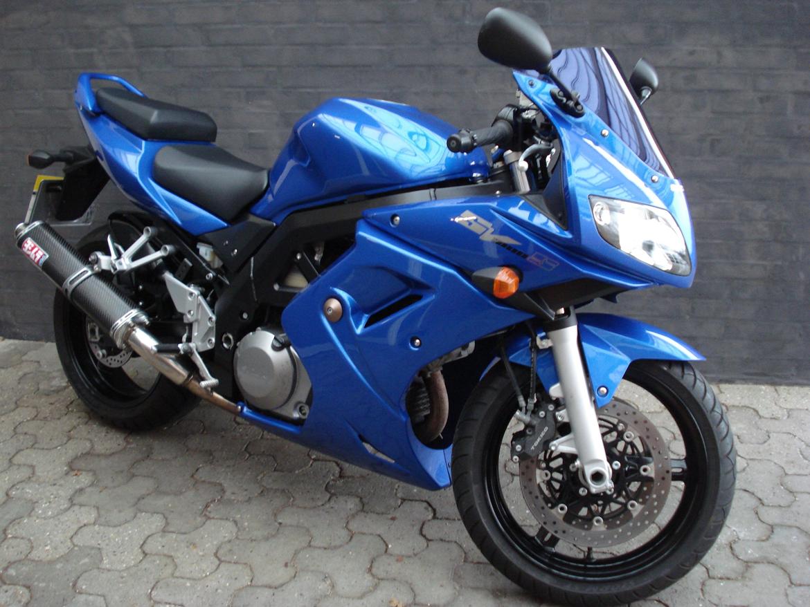 Suzuki SV1000S "BUMLE" - SUZUKI SV1000S billede 2