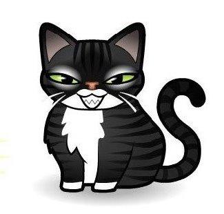 BMW R1200GS LC "FEDE BERTHA" - "FEDE BERTHA" billede 1