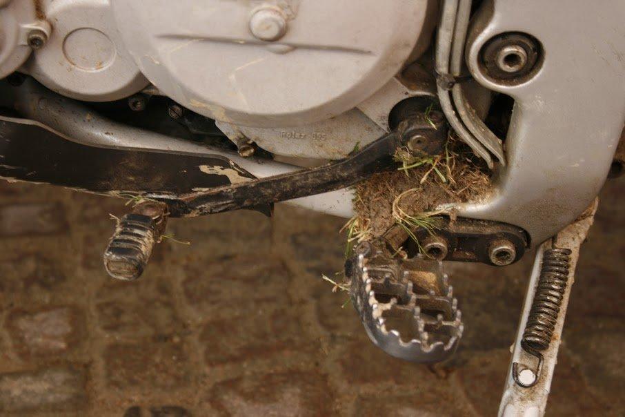 Aprilia Pegaso billede 19