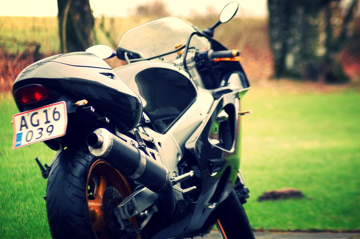 Suzuki GSX-R 600 SRAD billede 1