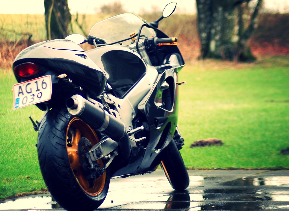 Suzuki GSX-R 600 SRAD billede 3