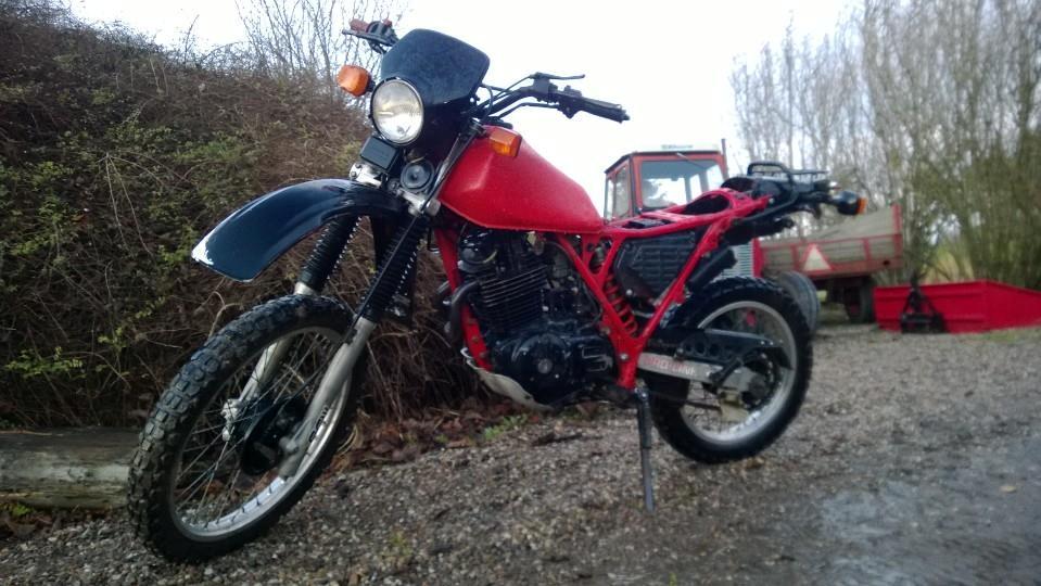 Honda XL 500r  billede 9