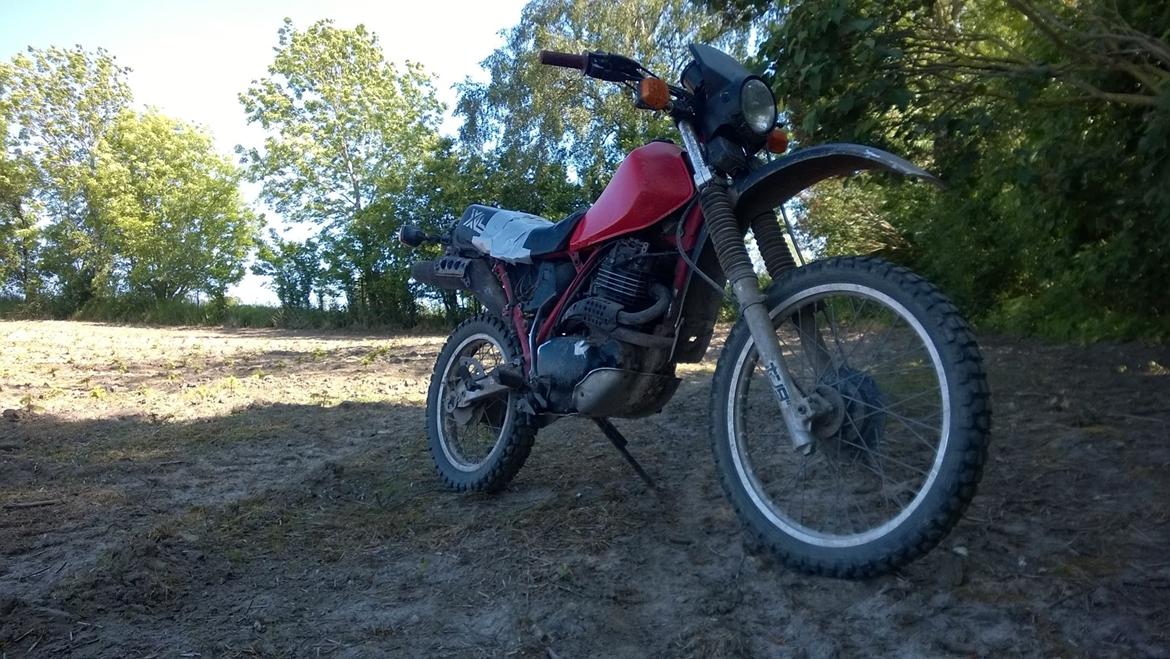 Honda XL 500r  billede 6