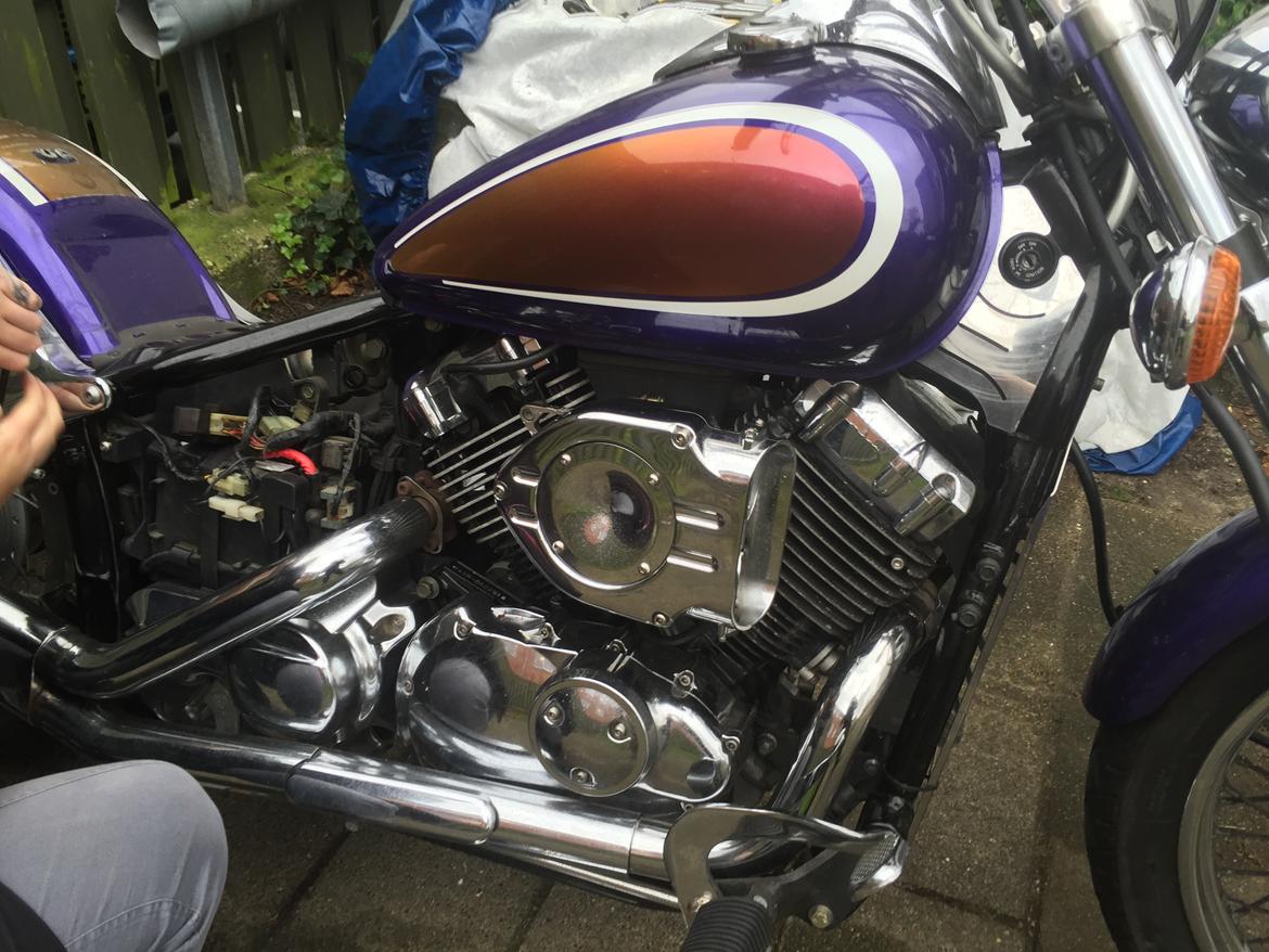 Yamaha Dragstar 650 billede 1