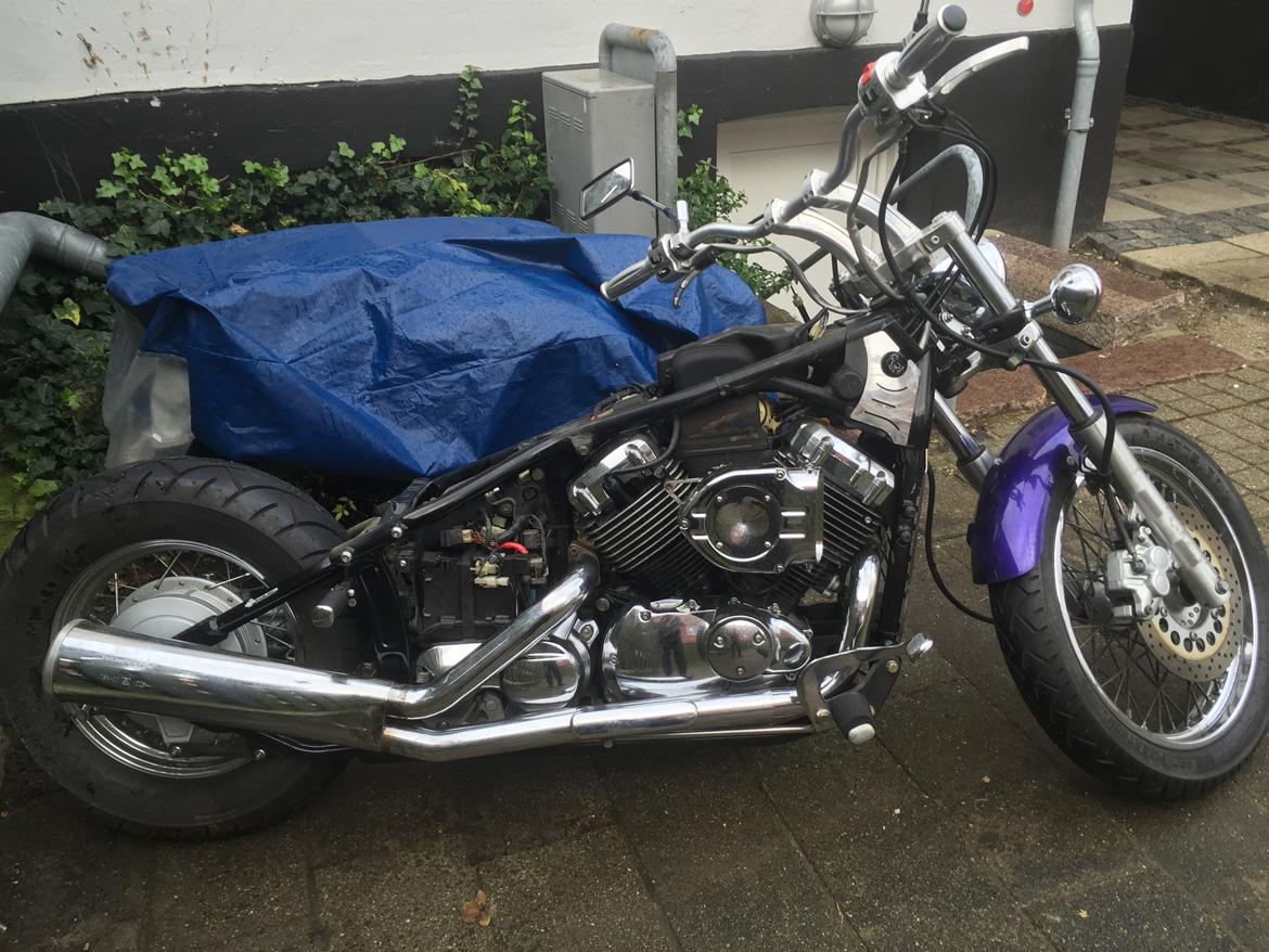 Yamaha Dragstar 650 billede 4