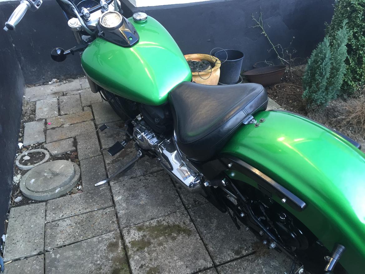 Yamaha Dragstar 650 billede 18