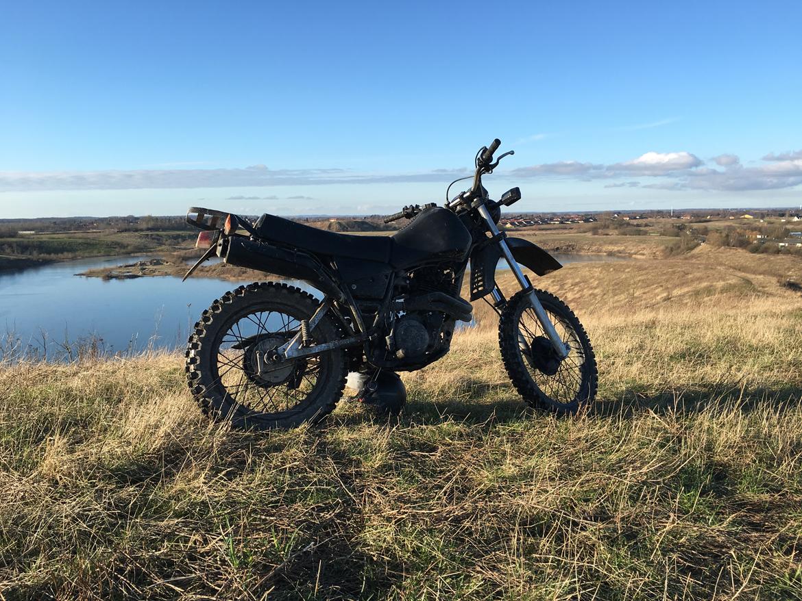 Yamaha XT 550 billede 7