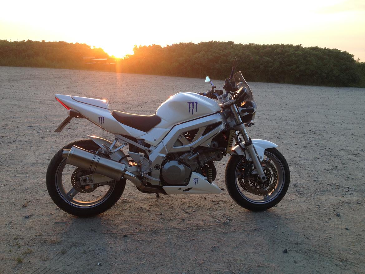 Suzuki SV 1000 N billede 5