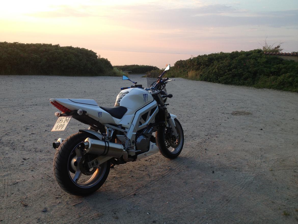 Suzuki SV 1000 N billede 4