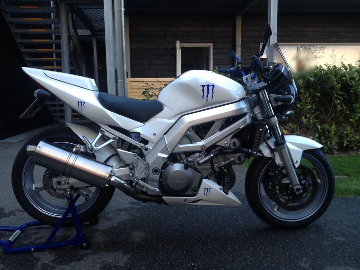 Suzuki SV 1000 N billede 1