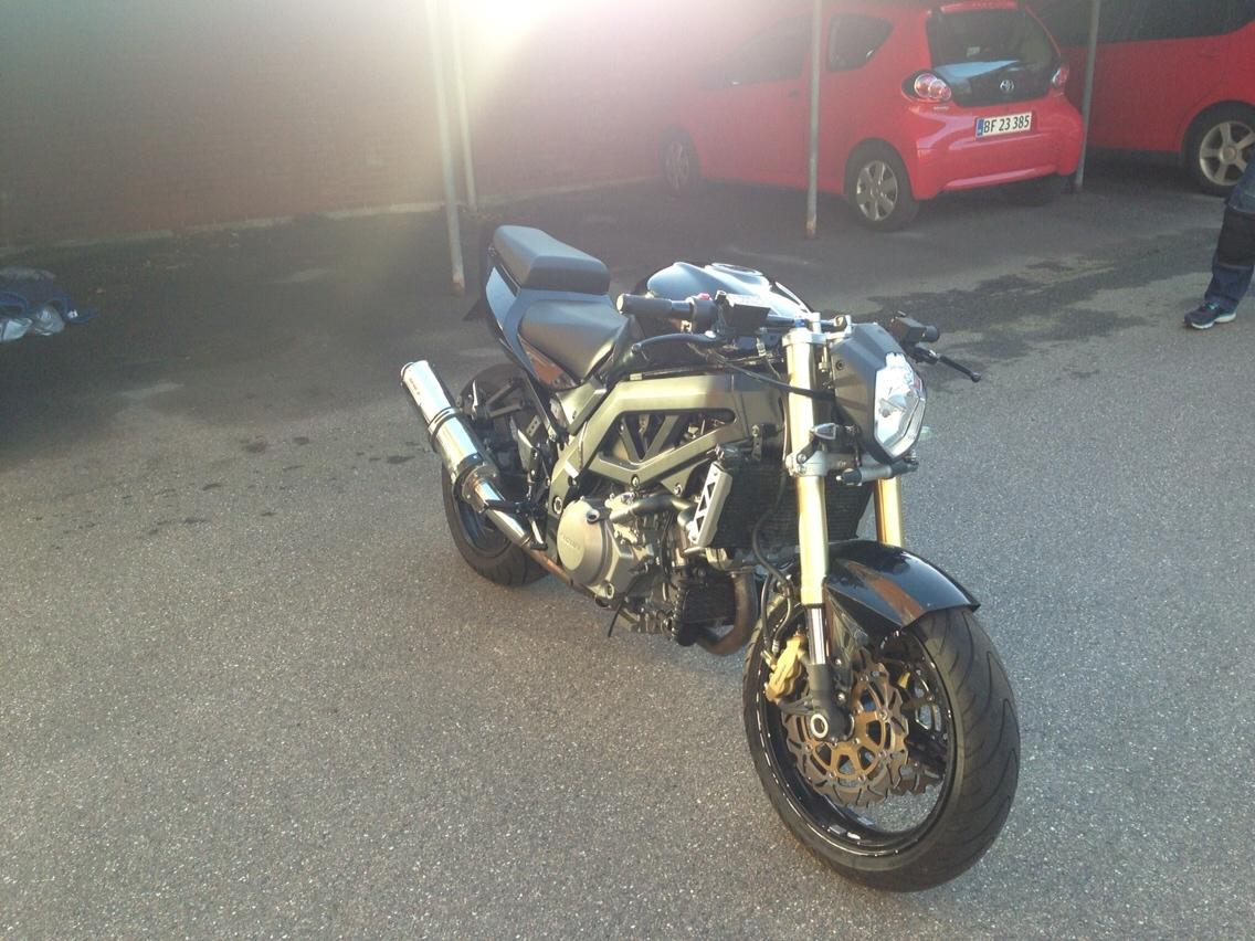 Suzuki Sv1000n billede 1