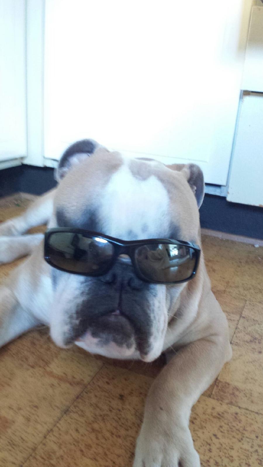 Kawasaki zx6r 636 billede 8