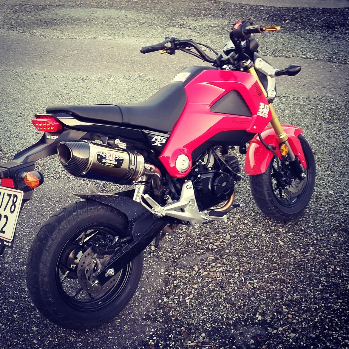 Honda MSX 125 "Grom" billede 1