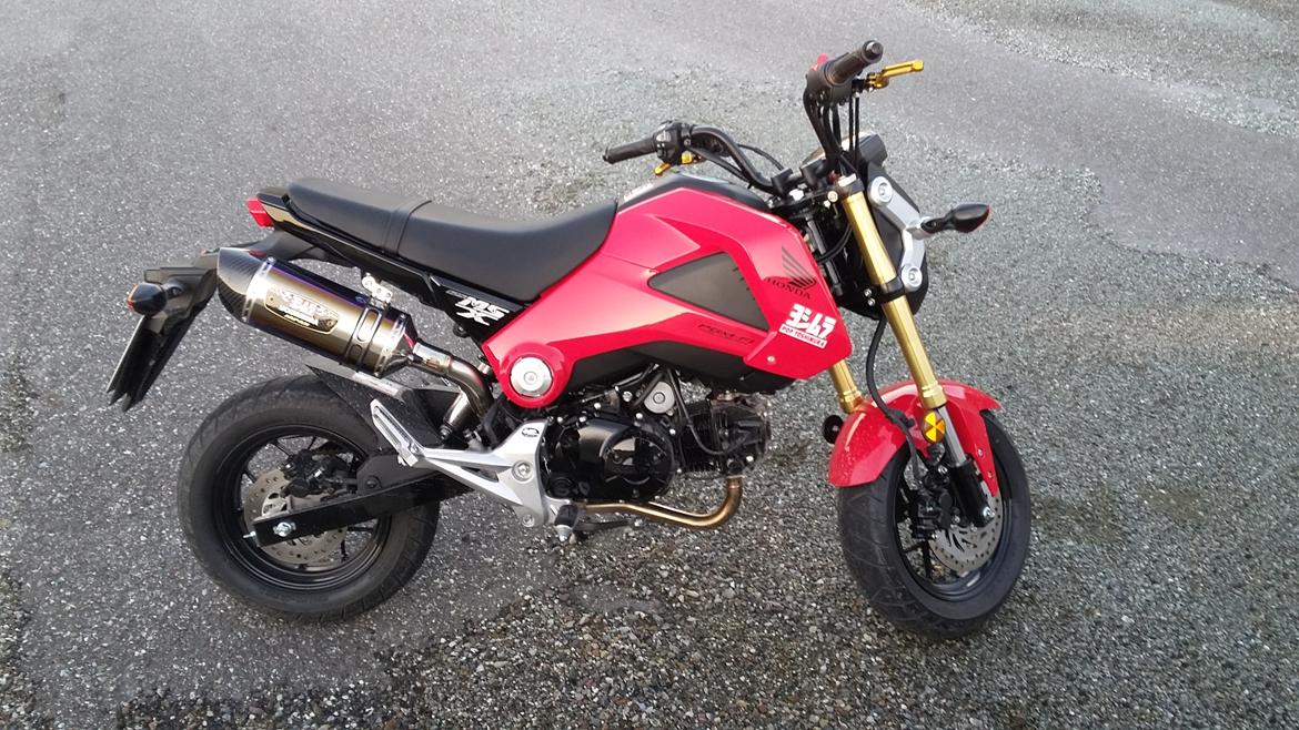 Honda MSX 125 "Grom" billede 2