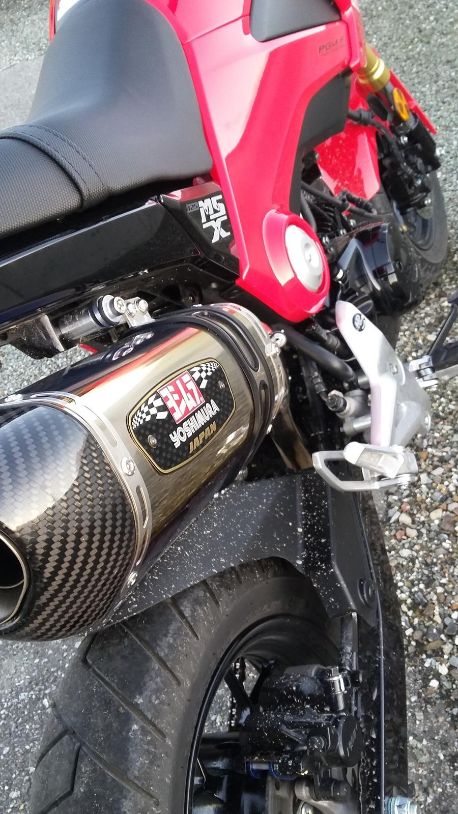 Honda MSX 125 "Grom" billede 3