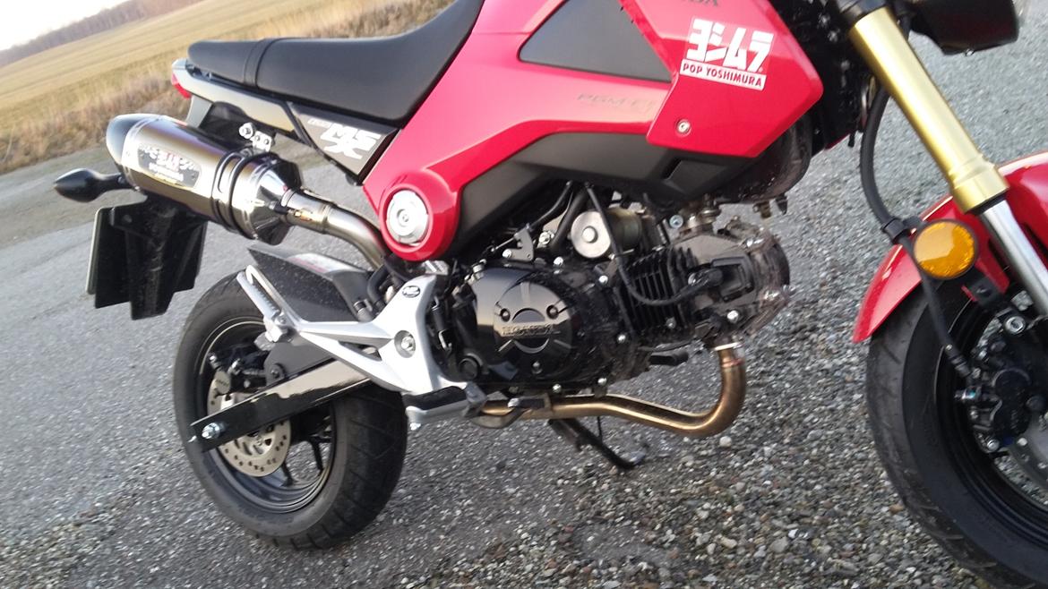 Honda MSX 125 "Grom" billede 5