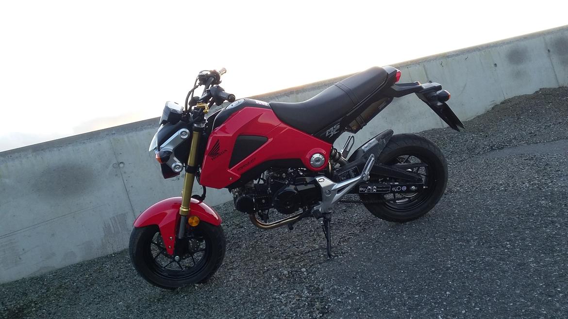 Honda MSX 125 "Grom" billede 9