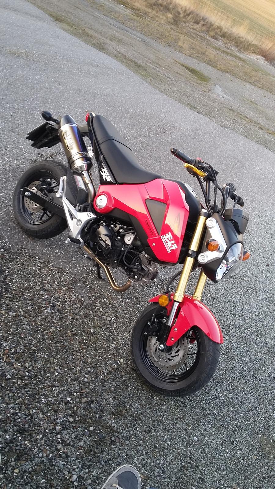 Honda MSX 125 "Grom" billede 10