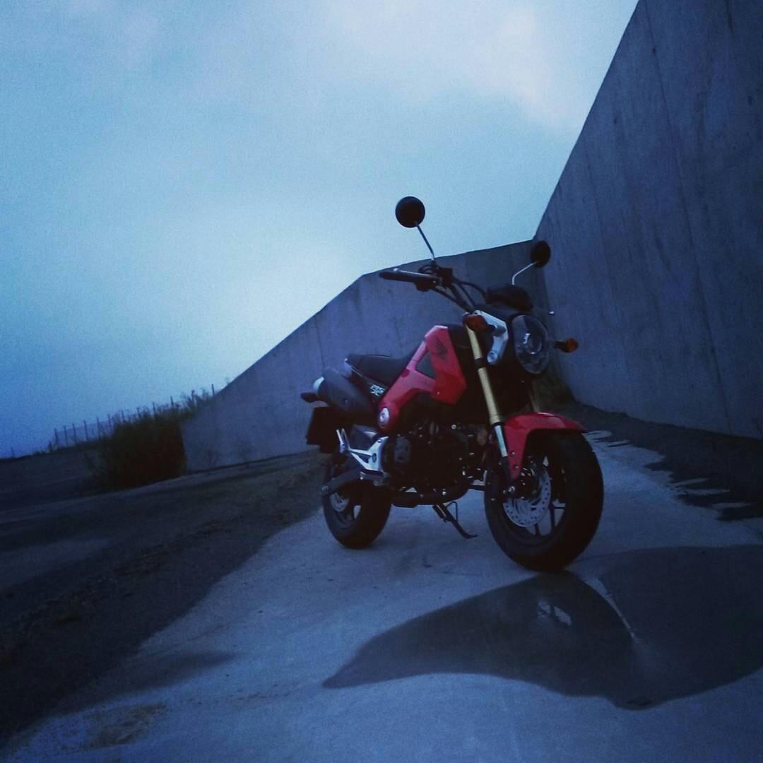 Honda MSX 125 "Grom" billede 11