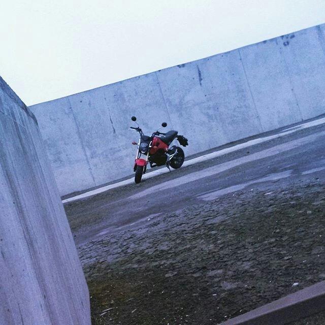 Honda MSX 125 "Grom" billede 12