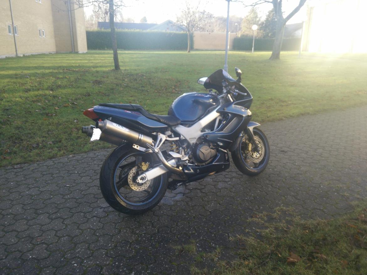 Honda VTR 1000 Firestorm billede 1