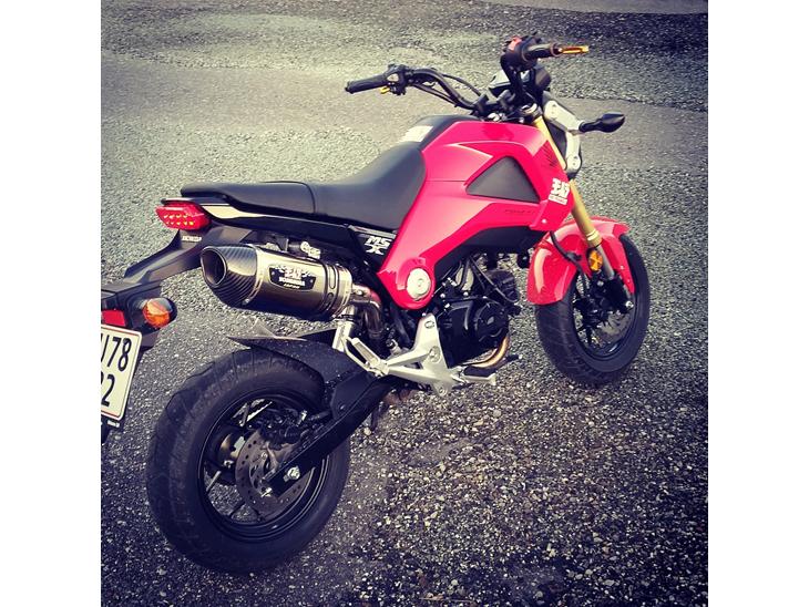 Honda MSX 125 "Grom" billede 1