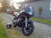 Yamaha XJ 600 S Diversion (Yamissen) [Tidl. motorcykel]