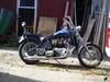 Triumph Thunderbird