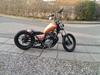 Suzuki GN 250  "THE BOSS"  BOBBER