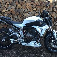 Yamaha MT 07 ERmax