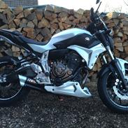 Yamaha MT 07 ERmax